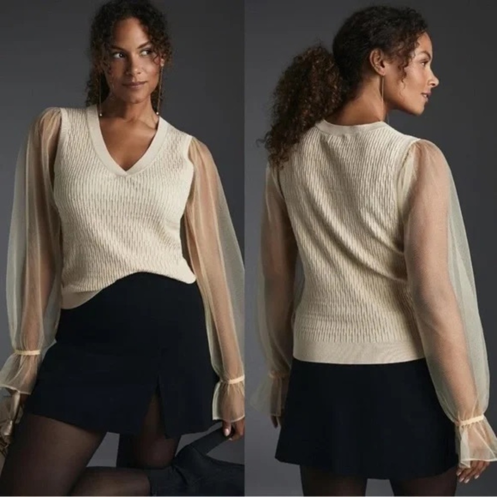 Sweater with sheer sleeves